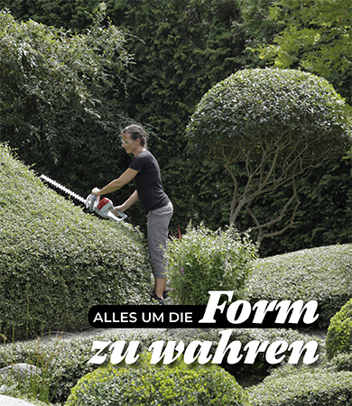 Frau schneidet in ihrem gepfegten GArten Hecken in Kugelformen